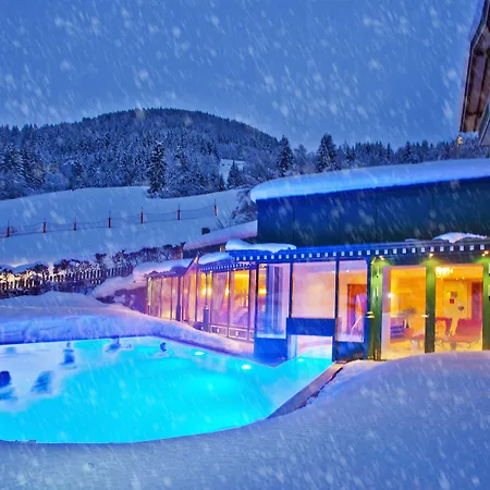 Berner Hotel Zell am See