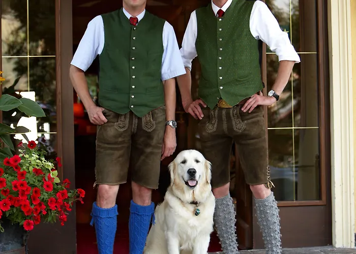 بيرنر 4* زيل أم سي